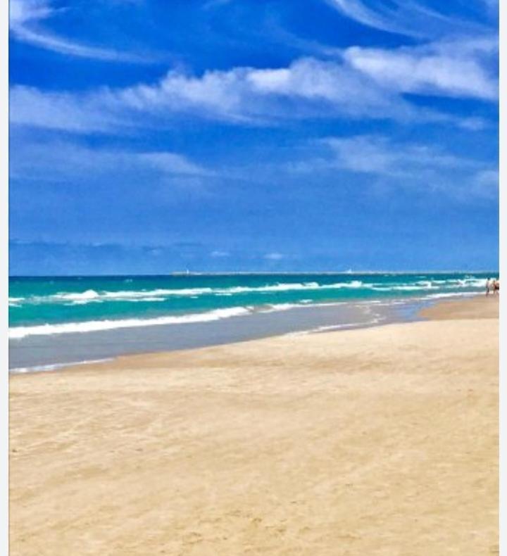 Apartamento Vistas Al Mar, 11 Planta, 50M Playa!! Miramar Dış mekan fotoğraf